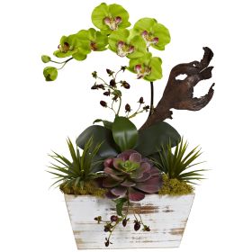 21" Orchid & Succulent Garden with White Wash Planter-Green